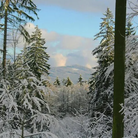 Hébergement de vacances In Neukirchen Near Heiligen Blut *