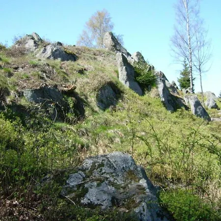 In Neukirchen Near Heiligen Blut Holiday home