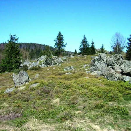 In Neukirchen Near Heiligen Blut Holiday home *