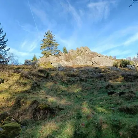 In Neukirchen Near Heiligen Blut Neukirchen beim Heiligen Blut