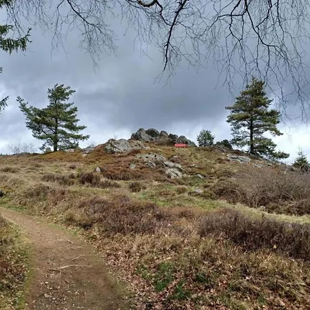 In Neukirchen Near Heiligen Blut * Neukirchen beim Heiligen Blut