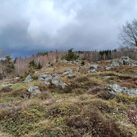 In Neukirchen Near Heiligen Blut *